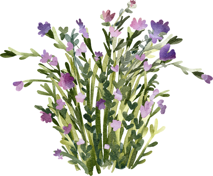 Flower plant watercolor