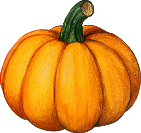 Watercolor Pumpkin Illustration